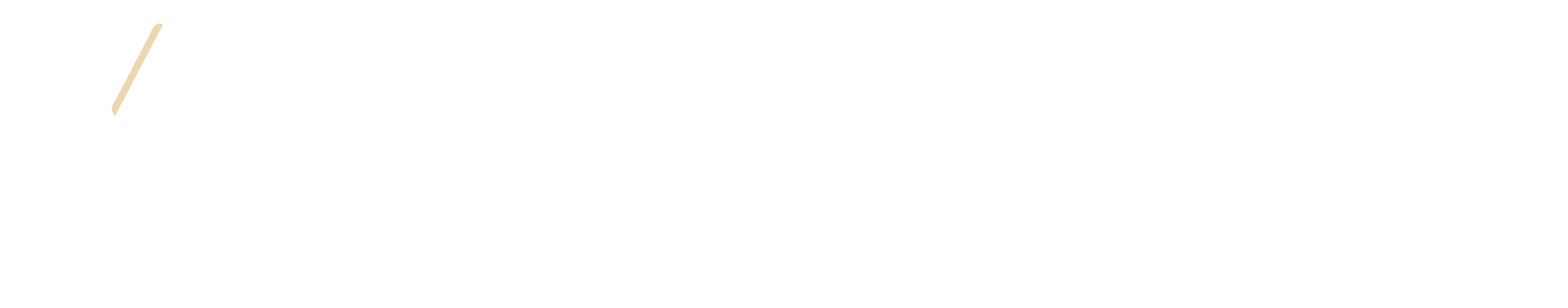 创视未来 visionfuture